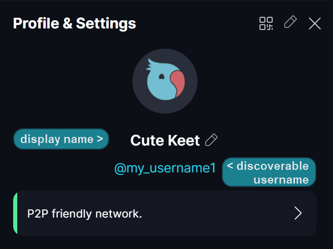 Setup · Choose a username (optional, but recommended) Manual setup.
